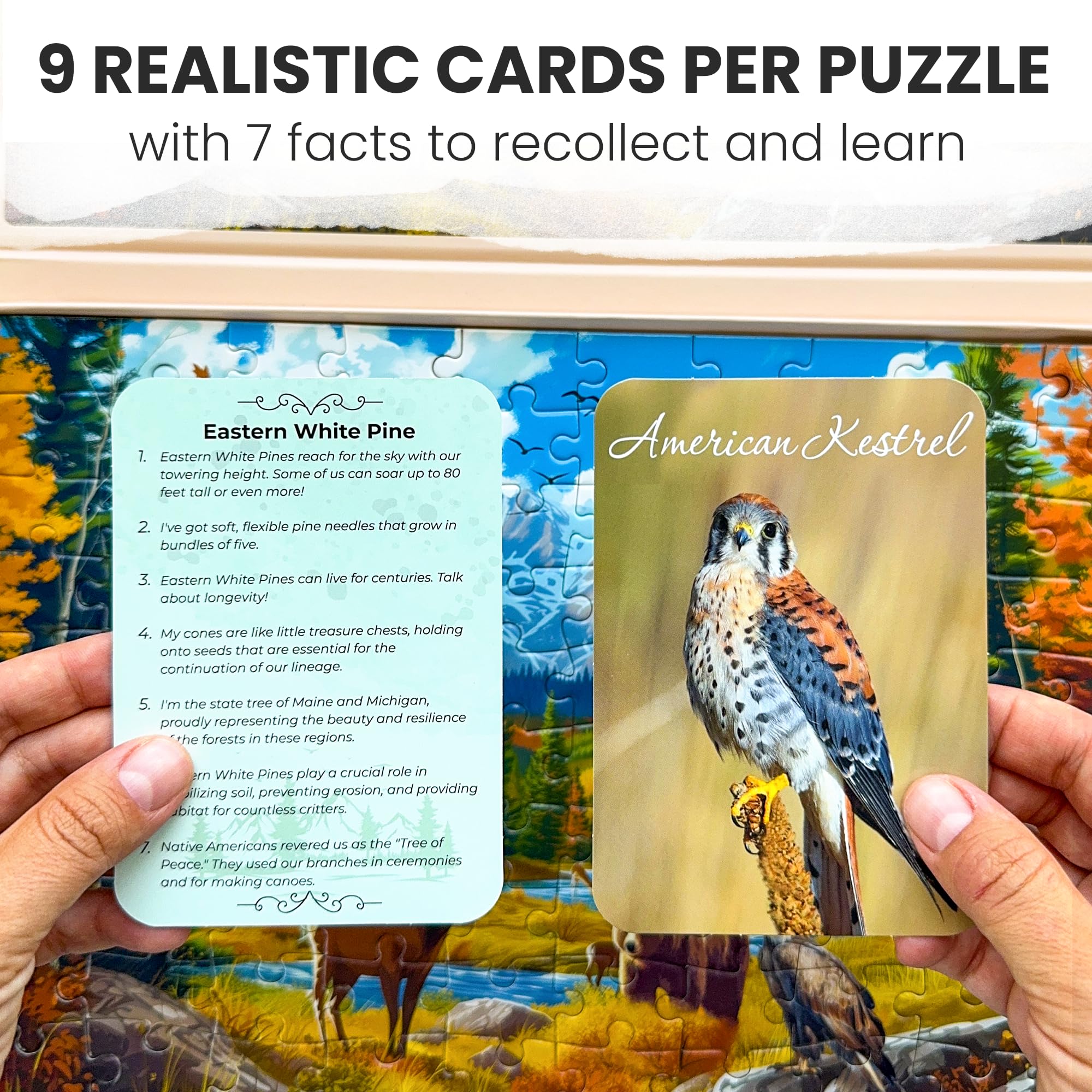 QUOKKA 100 Pieces Dementia Puzzles for Elderly, 3SET Large Piece Puzzles for Seniors - Image 3