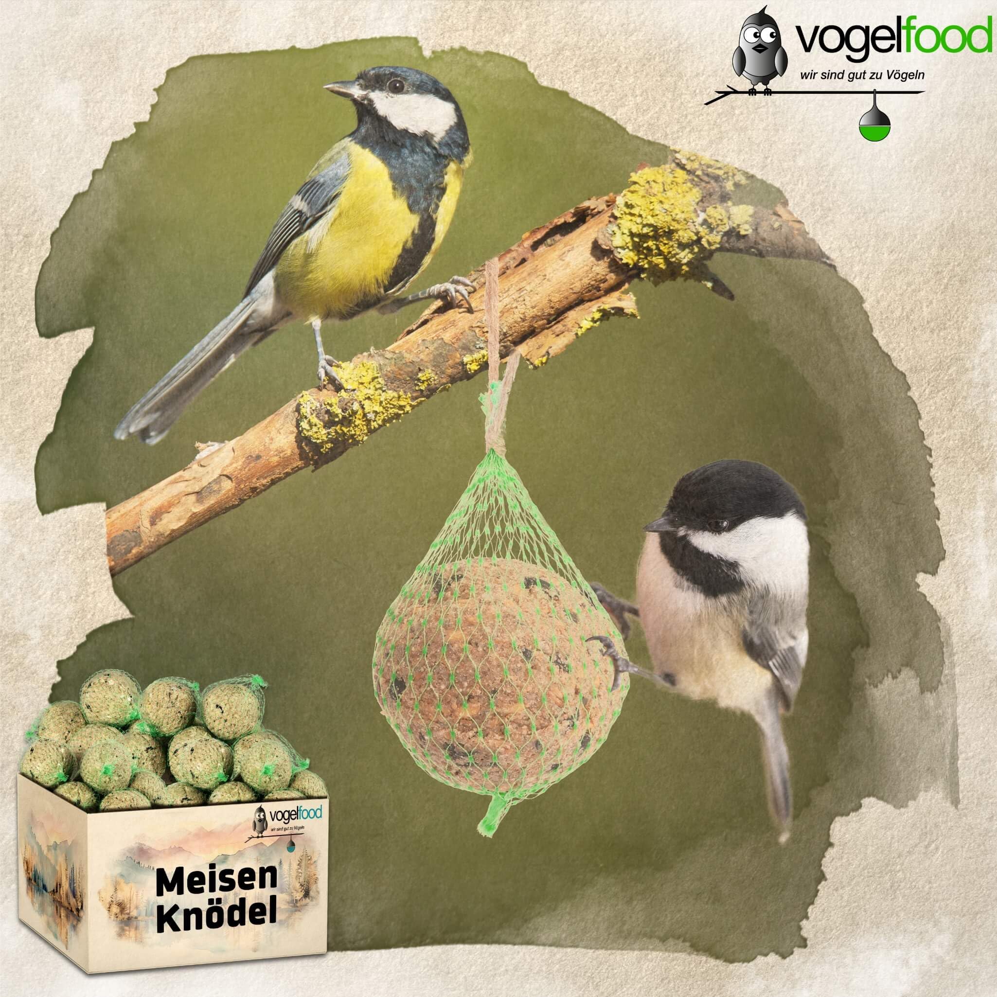 Vogelfood 200 x 90 g = 18 kg Meisenknödel Marke Vogelfood Vogelfutter 4 Jahreszeitenknödel Wildvogelfutter Ganzjahresfutter Fettfutter mit Netz