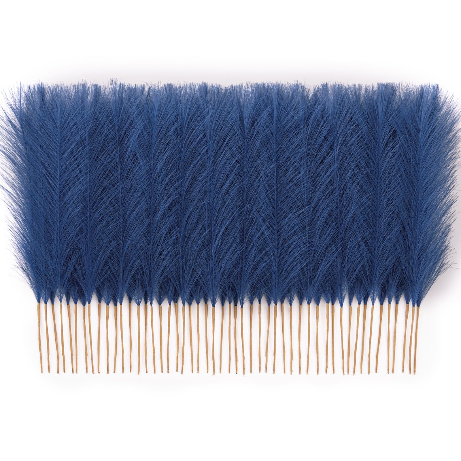 Faylifeway 50Pcs Pampas Grass