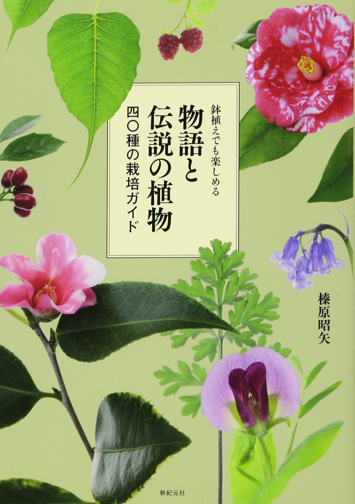 【中古】府中の植物ガイドブック／府中市・植物ガイドブック編集委員会 編 日本の希少植物を知るためのガイドブックの続編が登場│みどりシゴト新聞
