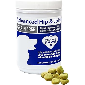 cage bird accessories