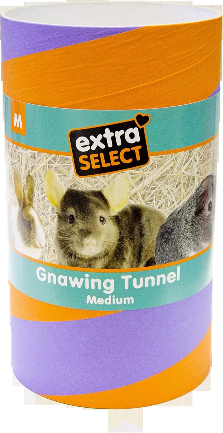Small Animal Gnawing Tunnel, Medium