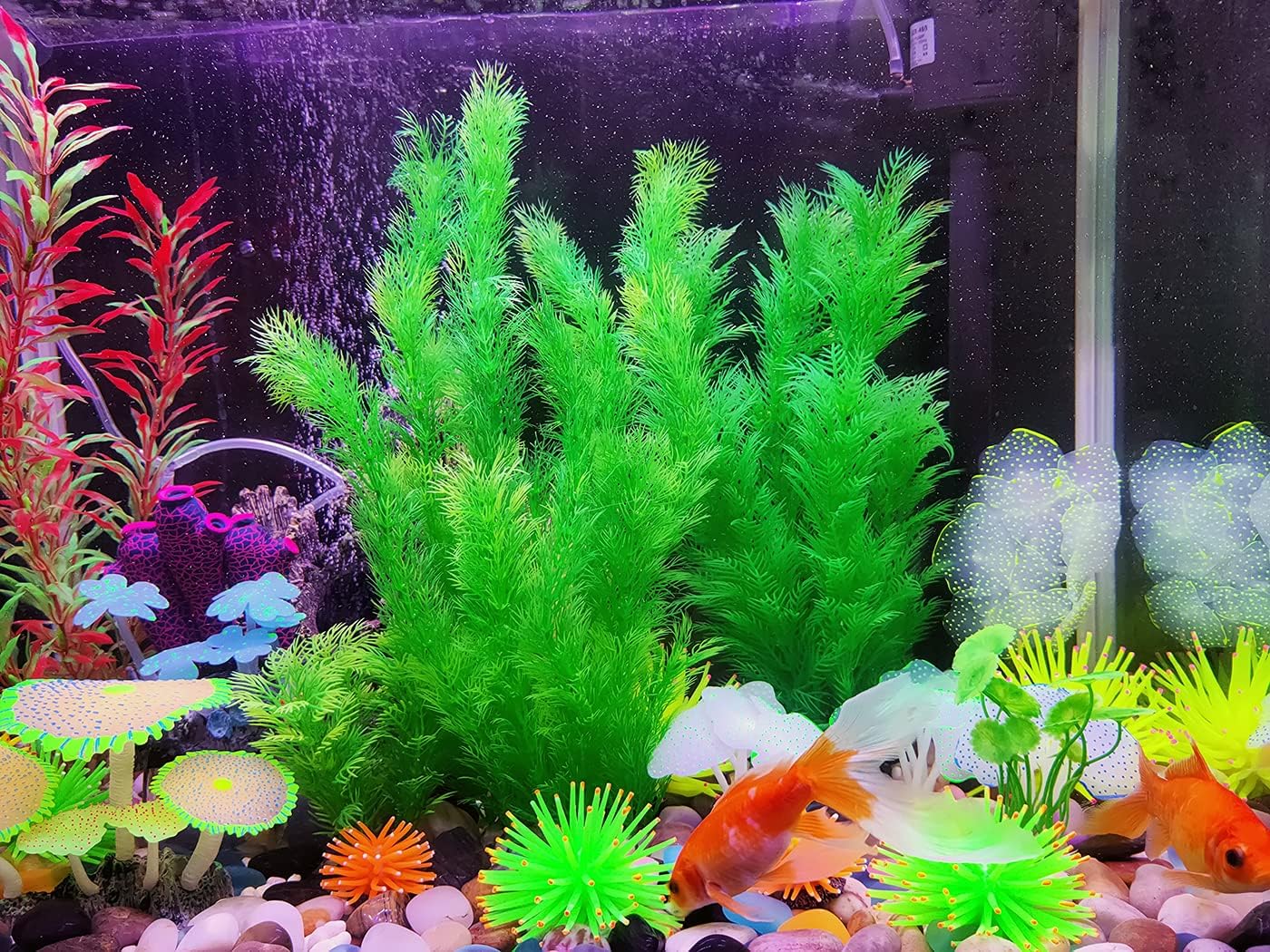 Buy Supyouleg Aquarium Plants Fish Tank Plants Tall Big Green Pack of 2