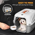 PawHut Plastic Dog and Cat Kennel Hard Sided, Airline Approuvé Pet Carrier pour Mini Chiens et chats, Crate portable avec porte en fil d'acier, Water Bowl, pour voiture, avion, extérieur