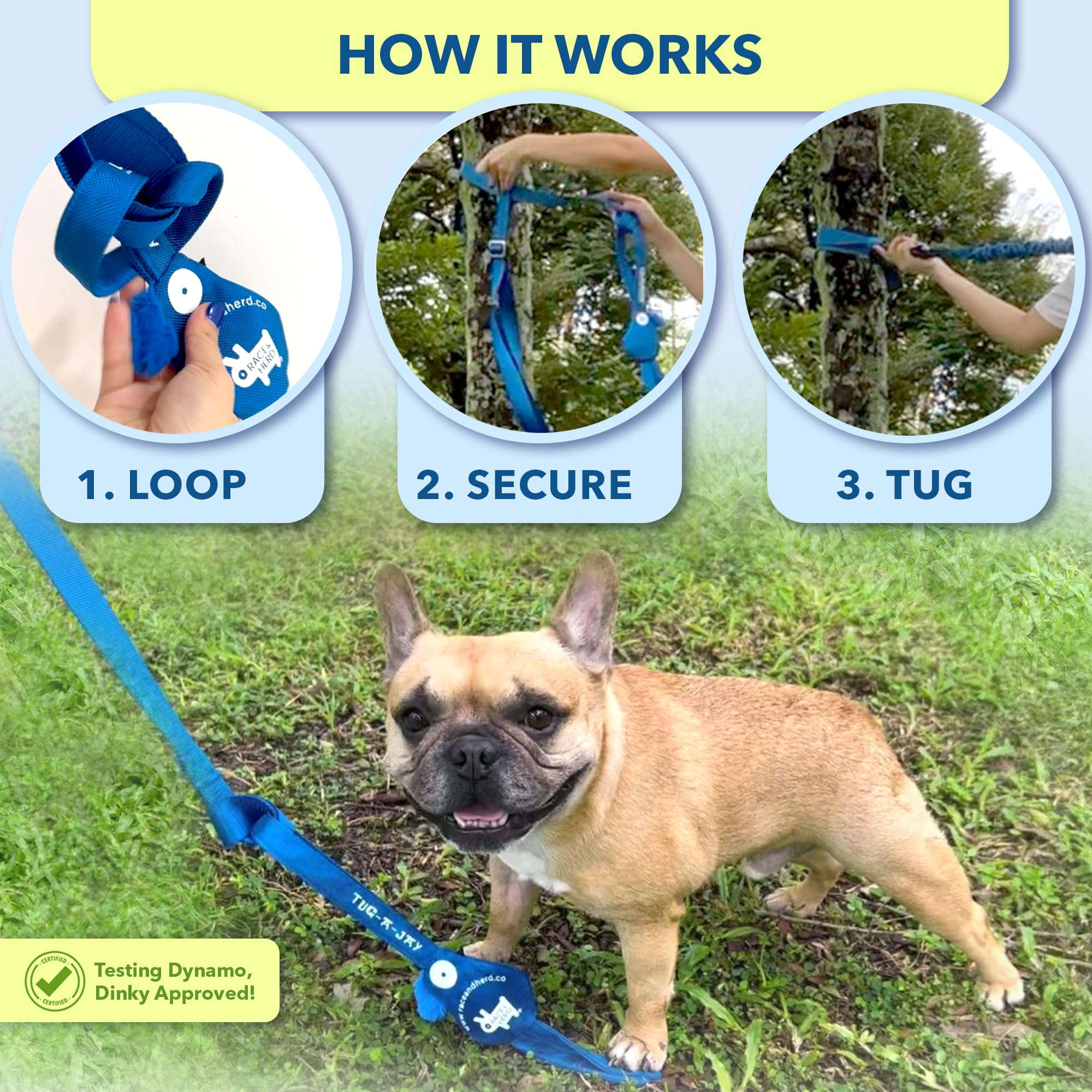 Race&Herd Tug-A-Jay Tether Tug Outdoor Hundespielzeug – Bungee-Zerrseil | Hundespielzeug für den Hinterhof, hängt an jedem Baum zum Solo-Ziehen – starke Kauer bauen Muskeln sicher auf