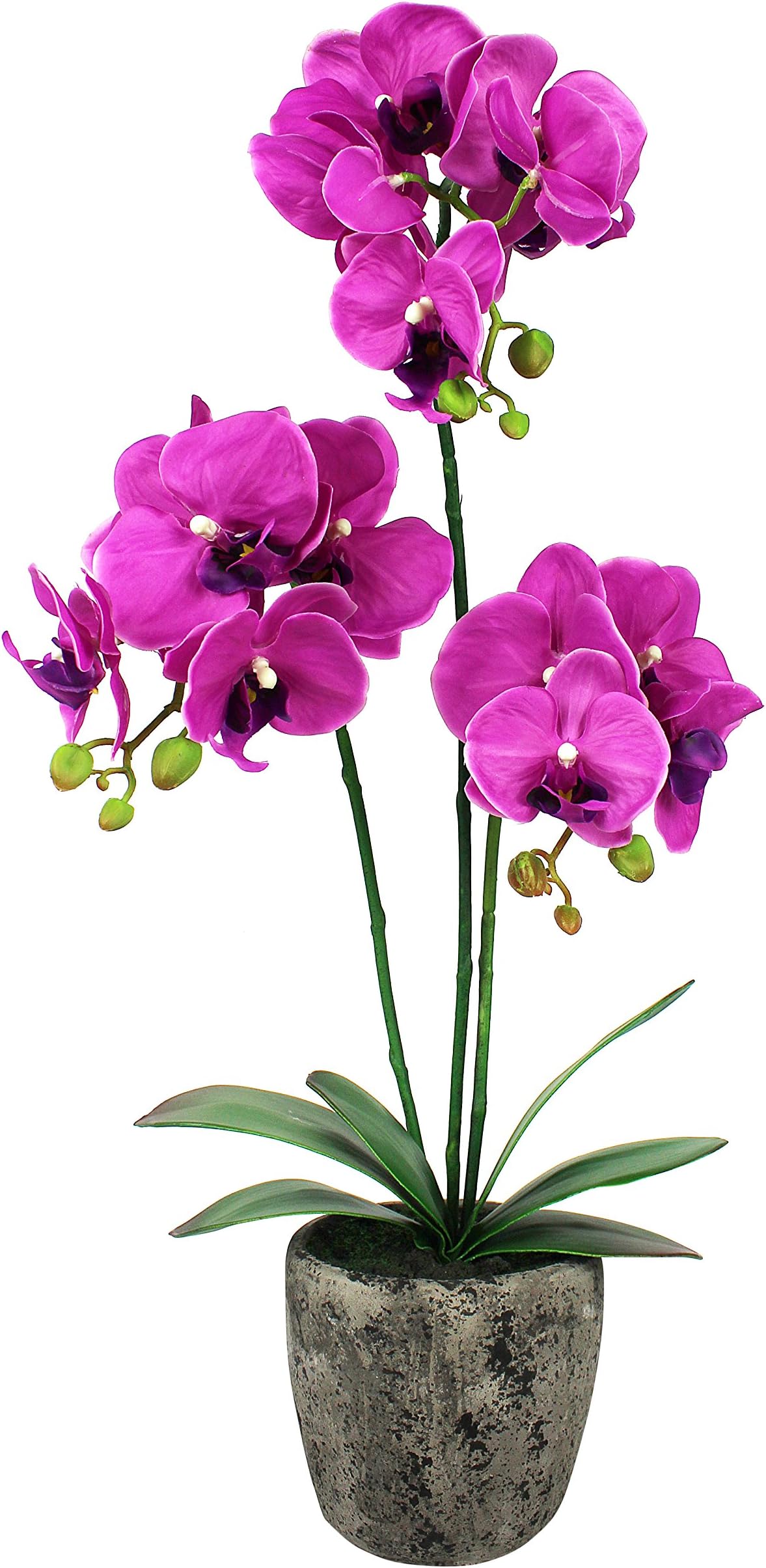 Elegant Dark Pink Real Touch Artificial Potted Orchid (60cm) In Round Cement Pot