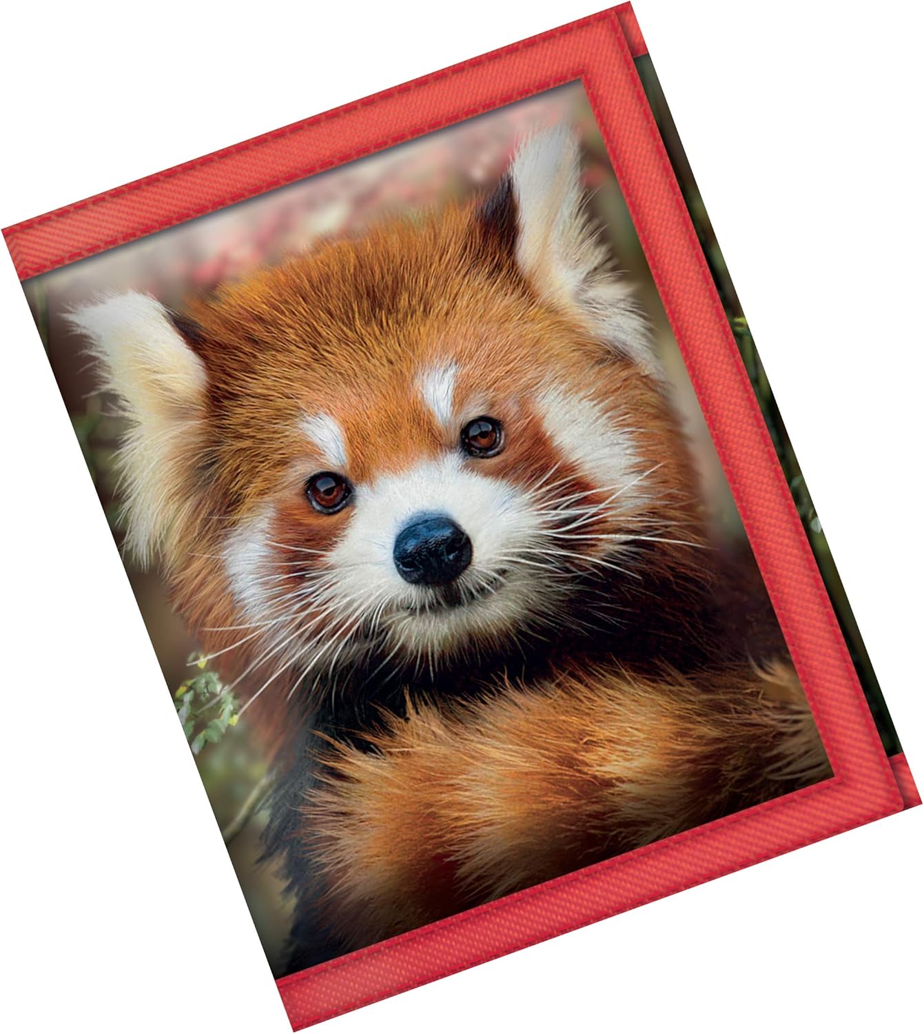 Portefeuilles 3d Livelife Bebes Panda Roux De Deluxebase Porte Monnaie Homme Faune Sauvage 3d Lenticulaire Pieces Billets Cartes Illustration Sous Licence De L Artiste Renomme David Penfound Amazon Fr Bagages