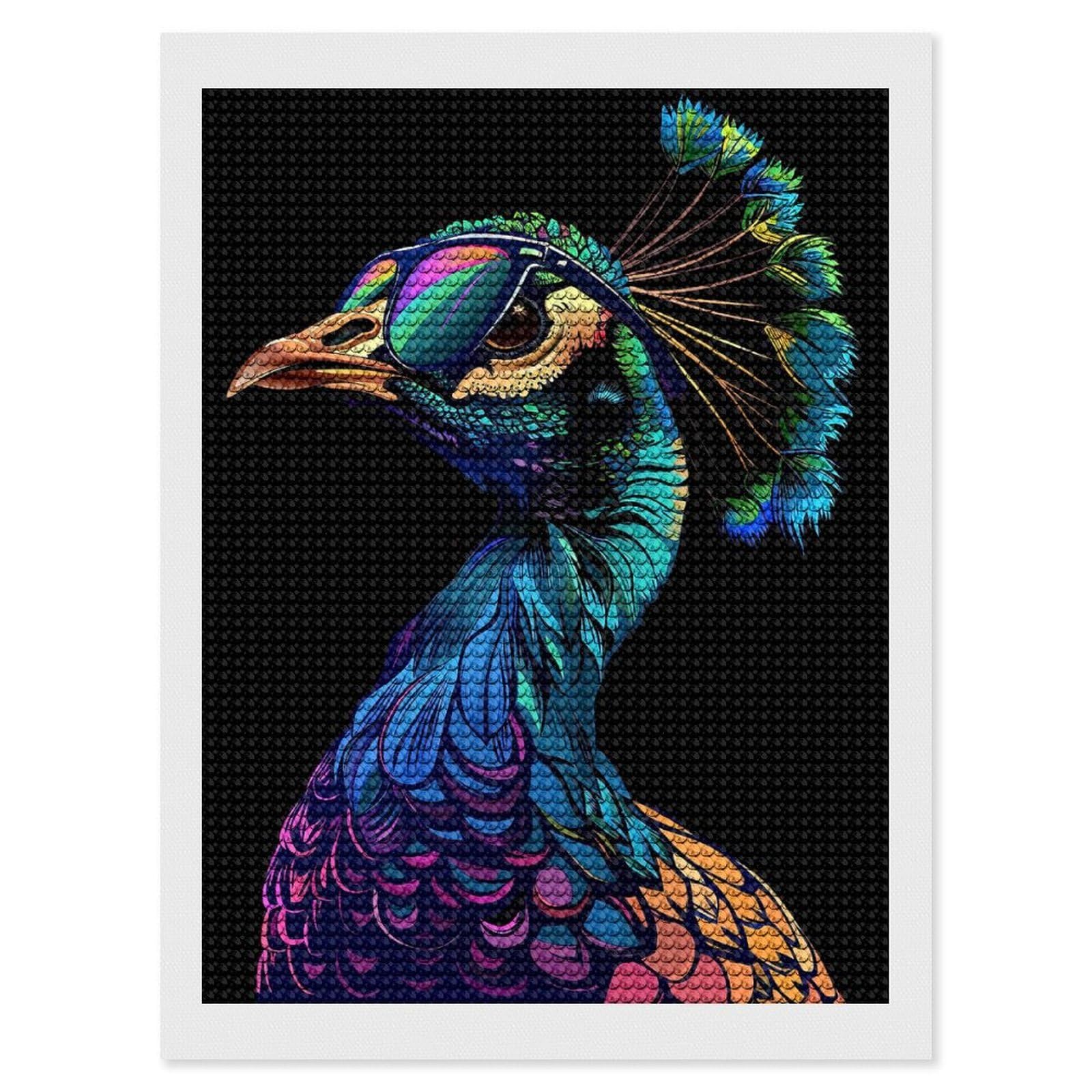 Junmoney Peacock Colorful Round Drill Diamond Painting 12"x16", for Women, Relaxing DIY Hobby, Bedroom Decor, Christmas Gift, Adhesive Canvas