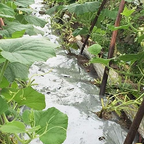 Miniatura 4 de winemana Paquete de 6 películas grandes de Mylar reflectantes plateadas, 83 x 63 pulgadas, alta reflectancia, mantiene el calor, 100% segura para el