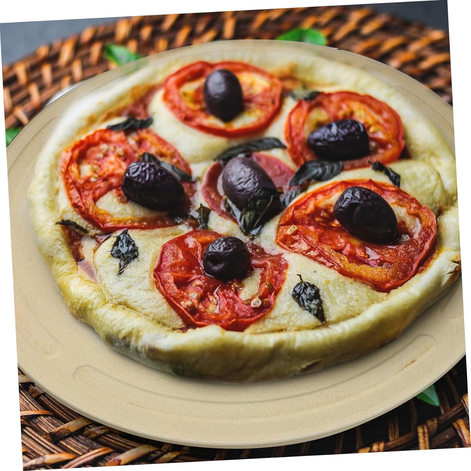 Cordierite Pizza Baking Pan Pizza Stone Heat Resistant for Home Professional Use
