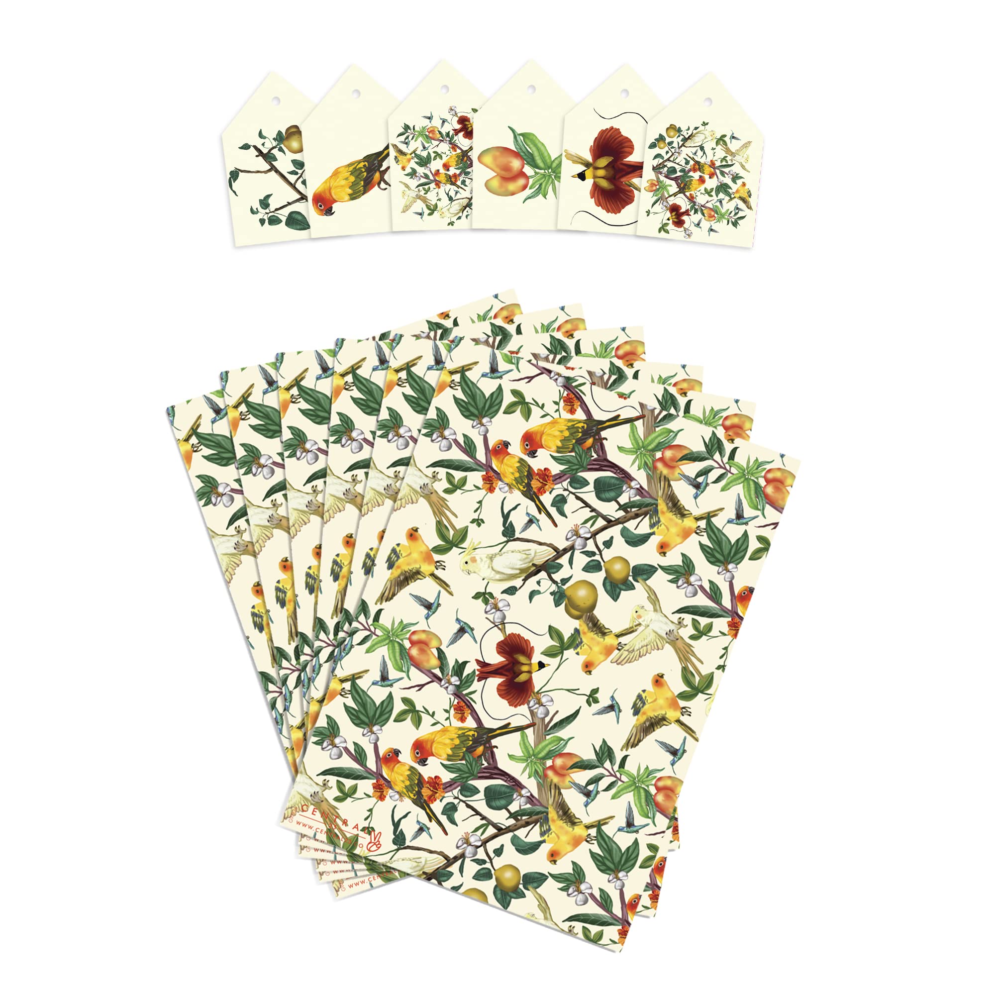 20 Fogli Carta da Bouquet, Fogli di Carta da Regalo Fiori Impermeabile Addensati, Carta da Imballaggio per Fiori con Bordo oro Floreali Carta da Regalo per Vacanze Festa di Compleanno (Azzurro