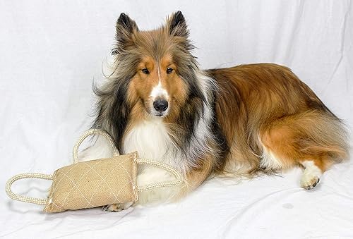 Miniatura 3 de Juguete orgánico K9 sin tintes para perros pequeños