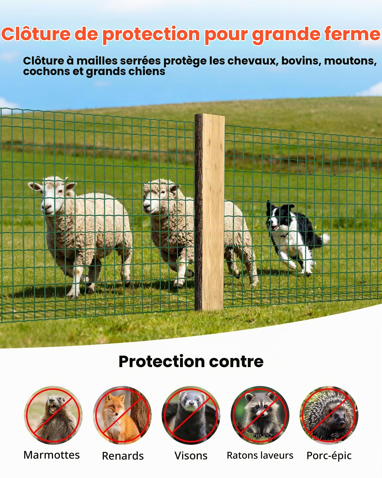 VEVOR Grillage Métallique Vert Maille 5 x 10 cm Rouleau Grillage Clôture à Mouton Soudé 1 x 25 m Fil en Fer Galvanisé Revêtement Vinyle PVC Diamètre Fil 2,1 mm pour Jardin Enclos Cage Animaux Ranchs