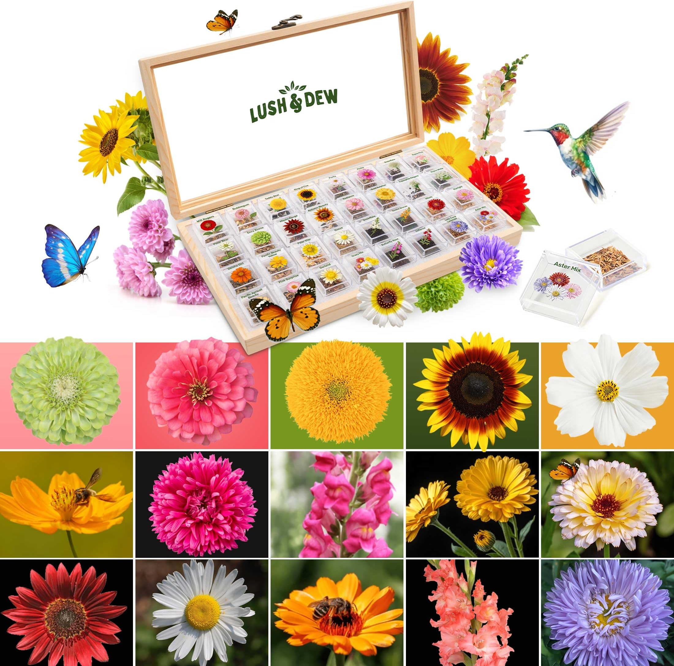 Lush&Dew Cut Flower Seed Bank, 32 Varieties of Non-GMO Flower Seeds, Wooden Storage Box with Wildflower, Indoor Outdoor Gardening Gift for Women, Men (USDA Zone 3-11)