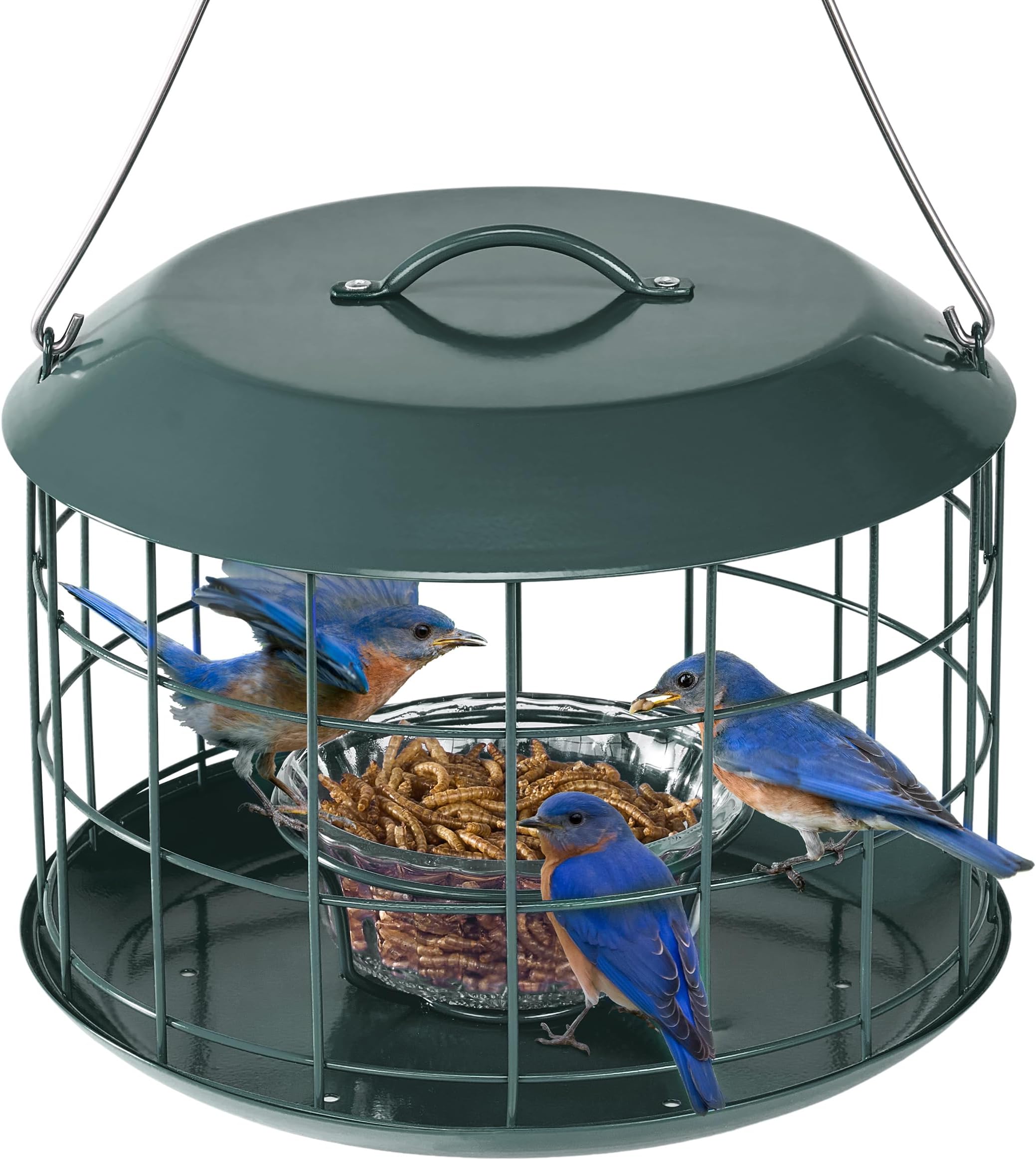 Amazon.com : Kingsyard Squirrel-Proof Bird Feeder for Outdoor Hanging