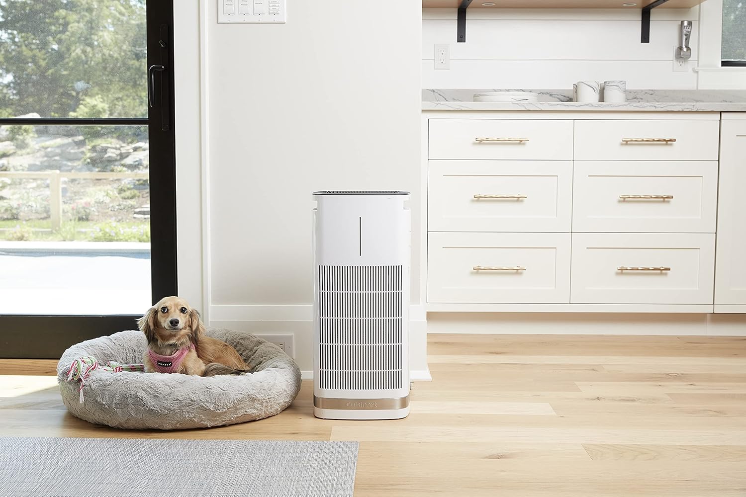 Cuisinart CAP-500: Countertop/Medium Room Air Purifier with H13 HEPA Filter