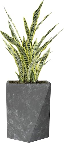 Miniatura 7 de VINTAGE HOME Planta de serpiente artificial de tacto real de 36 pulgadas de alto