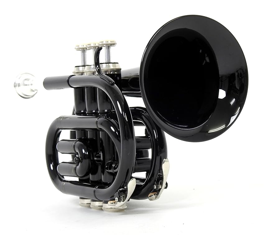 極美品　kaerntner　ケルントナー　ポケット　トランペット　ケース付き　黒 Amazon.co.jp: Kaerntner ケルントナー ポケットトランペット