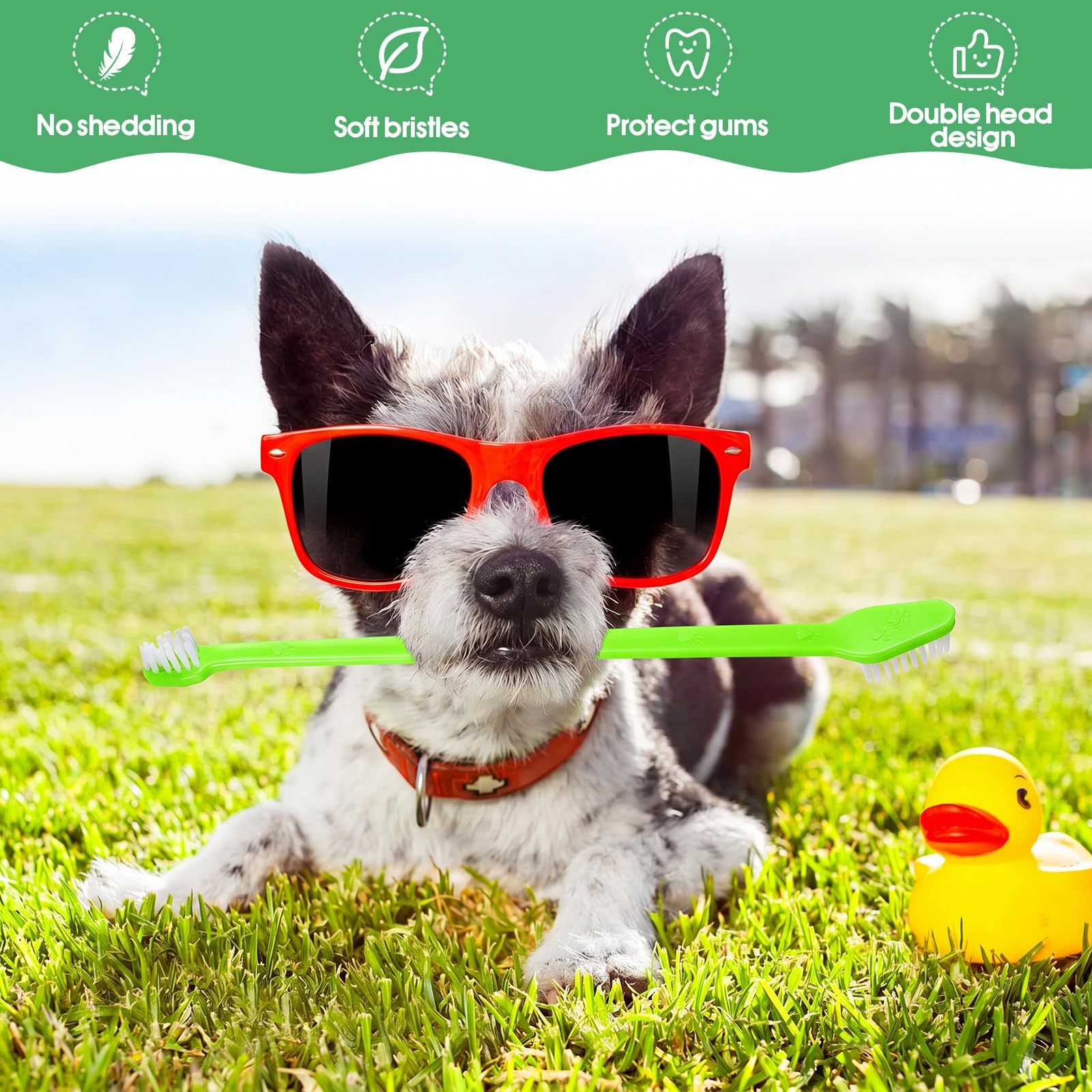 Gerrii 200 cepillos de dientes para perros, cepillo de dientes de doble cabeza para mascotas, mango largo, cerdas suaves, cepillo de dientes de mascotas para perros, gatos y la mayoría de mascotas