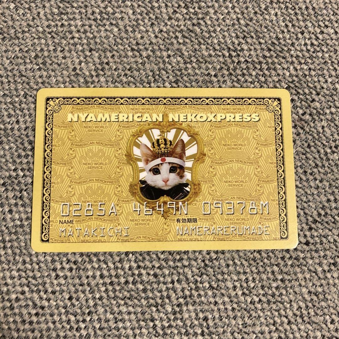 Amazon.co.jp: なめ猫 ニャメリカンエクスプレス : おもちゃ