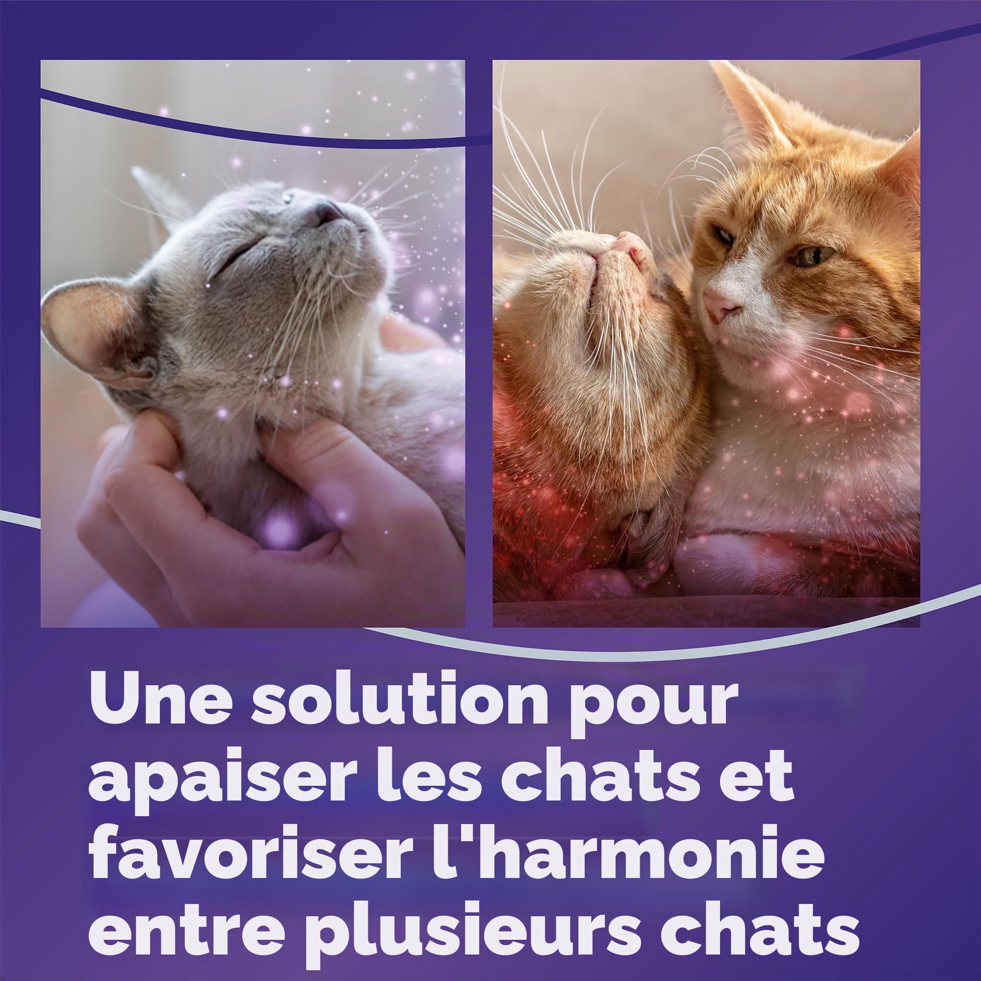 FELIWAY Recharge de phéromones apaisantes optimales améliorées de 30 Jours - Lot de 2