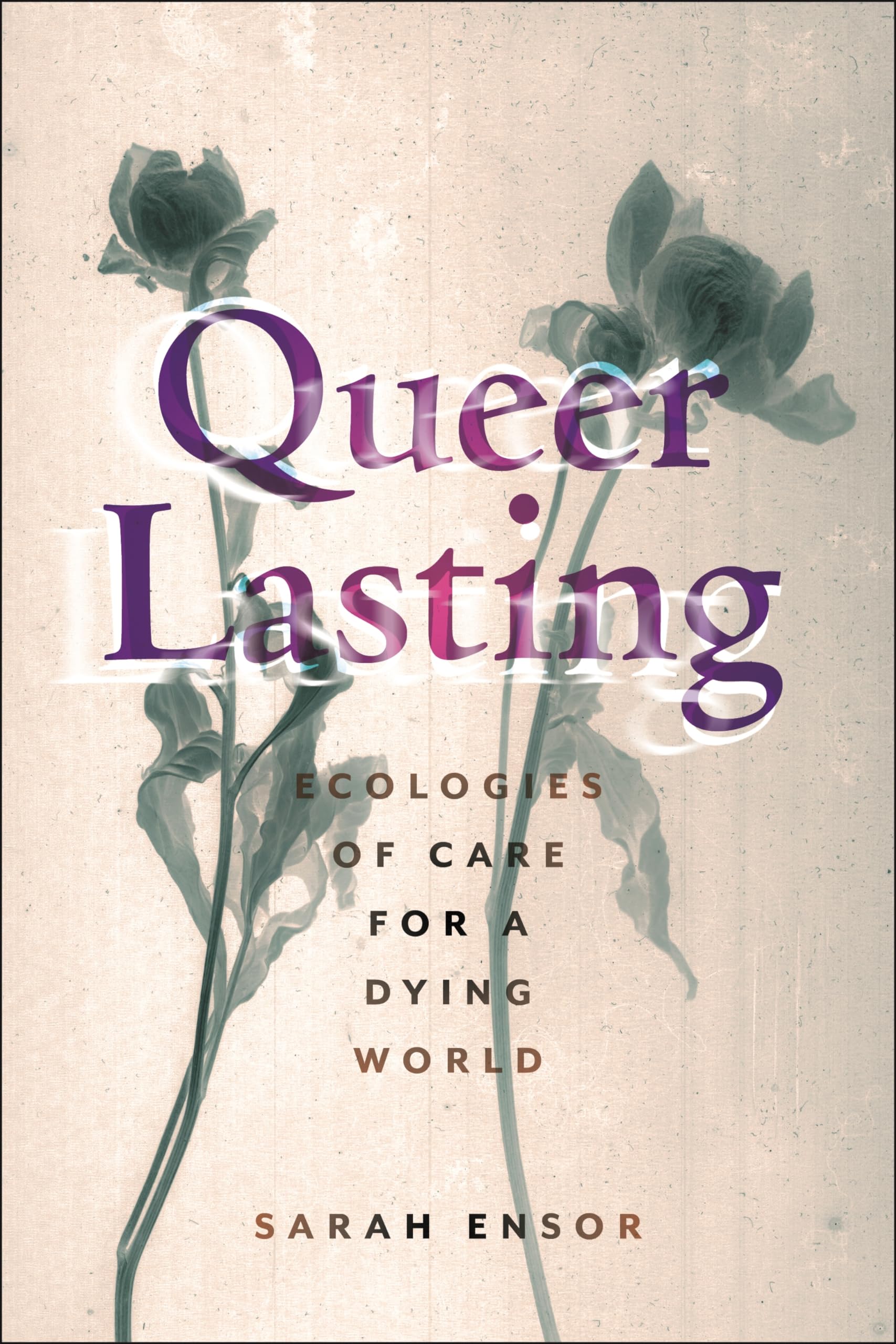 Queer Lasting  Ecologies of Care for a Dying World by Sarah Ensor PAPERBACK