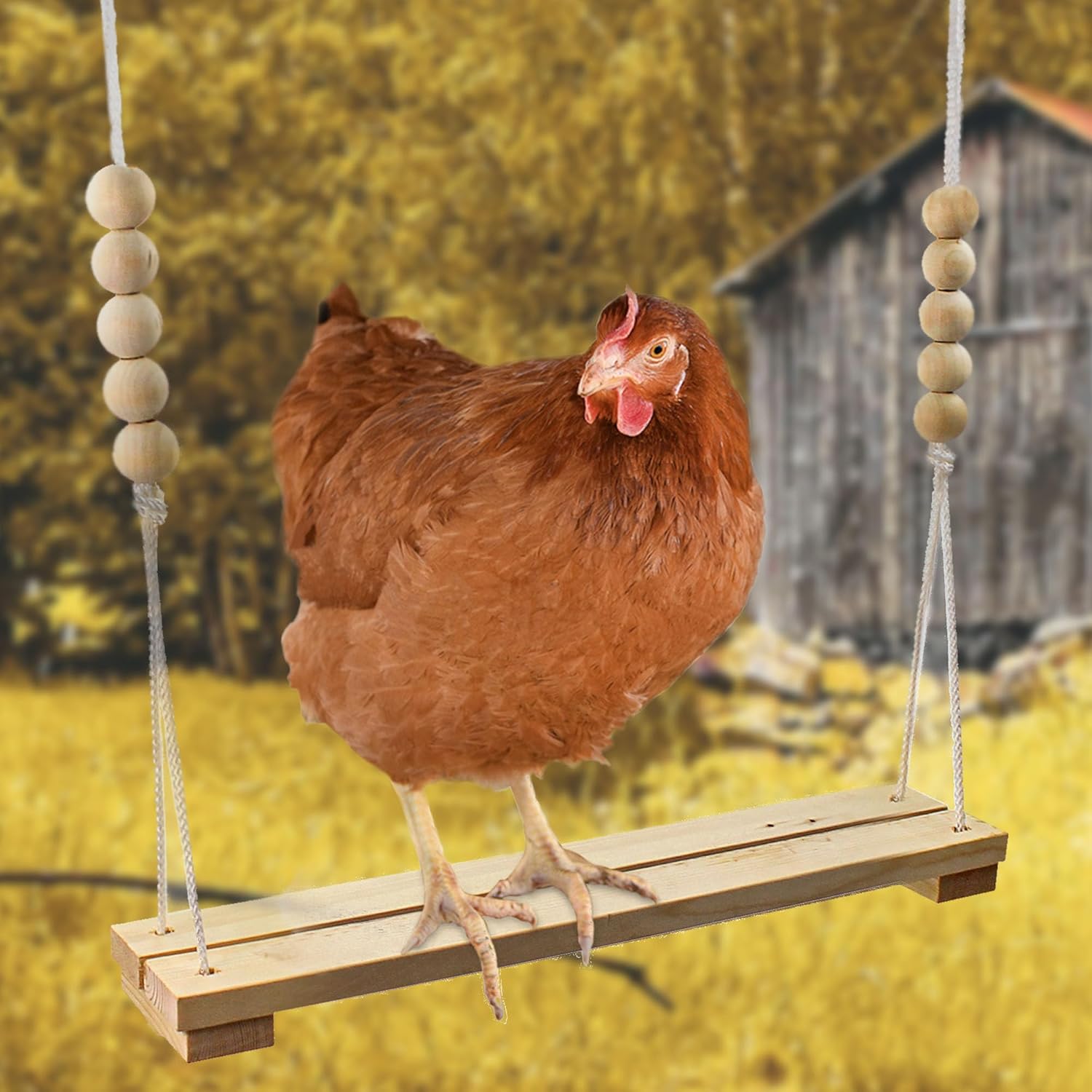 Chicken Swing Toy for Coop Handmade in USA!!! Natural Safe Wooden Accessories Large Durable Perch Ladder for Poultry Run Rooster Hens Chicks Pet Parrots Macaw Entertainment Stress Relief for Birds