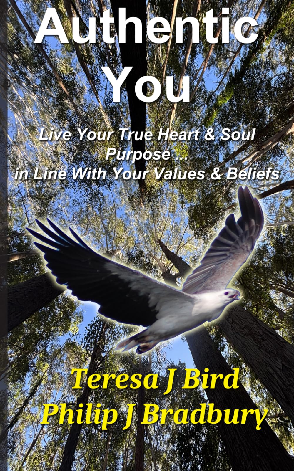 Authentic You: Live Your True Heart & Soul’s Purpose … In Line With Your Values & Beliefs