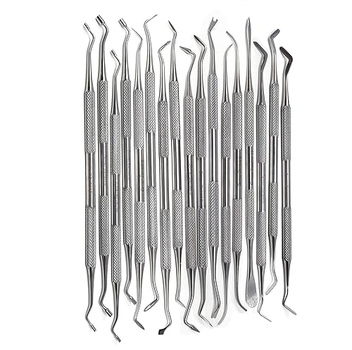 Herramientas dentales profesionales, púas dentales, cuidado bucal, kit de higiene de acero inoxidable con raspador de dientes, pinzas para sarro,