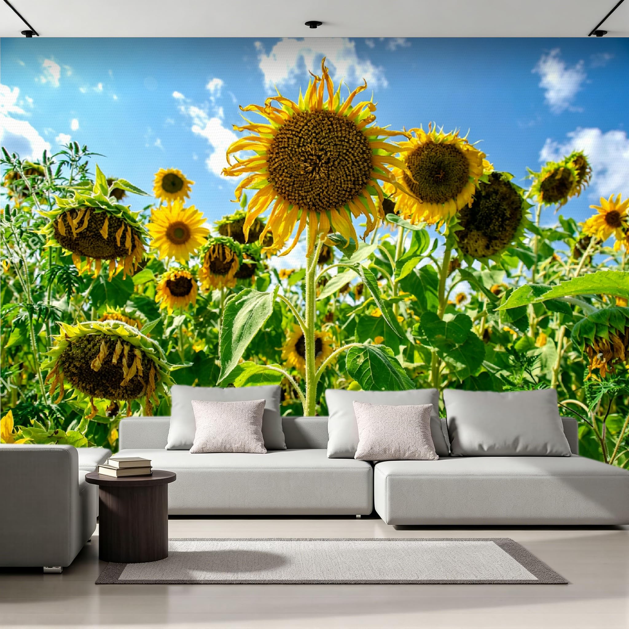 Papier peint 3D panoramique tournesol pour masquer les défauts