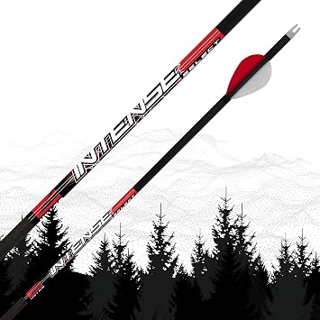 Killer Instinct KI Intense Select 6PK Arrows 400
