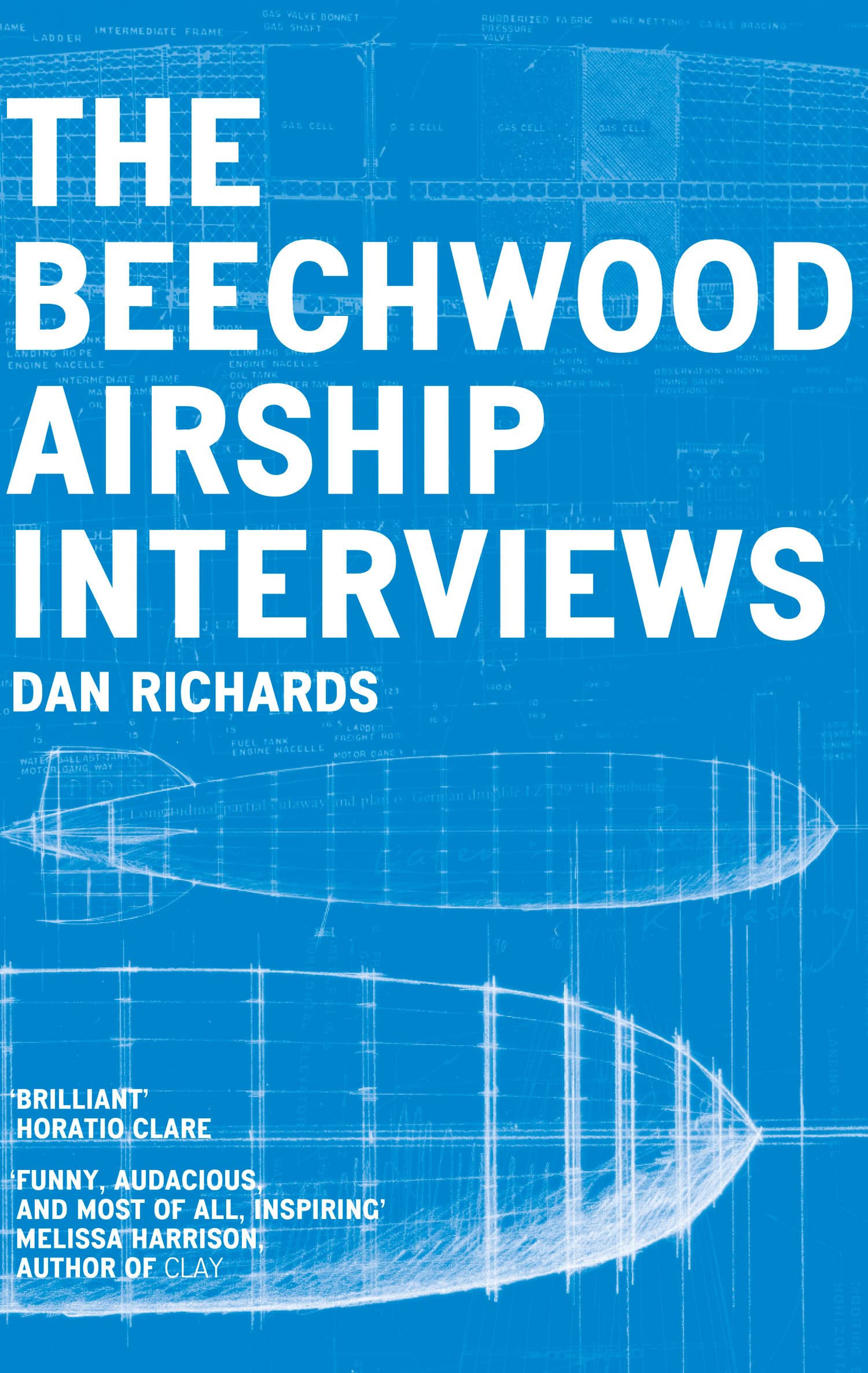 THE BEECHWOOD AIRSHIP INTERVIEWS: A Captivating Non-Fiction Memoir About the Craft and Spaces of Famous British Artists