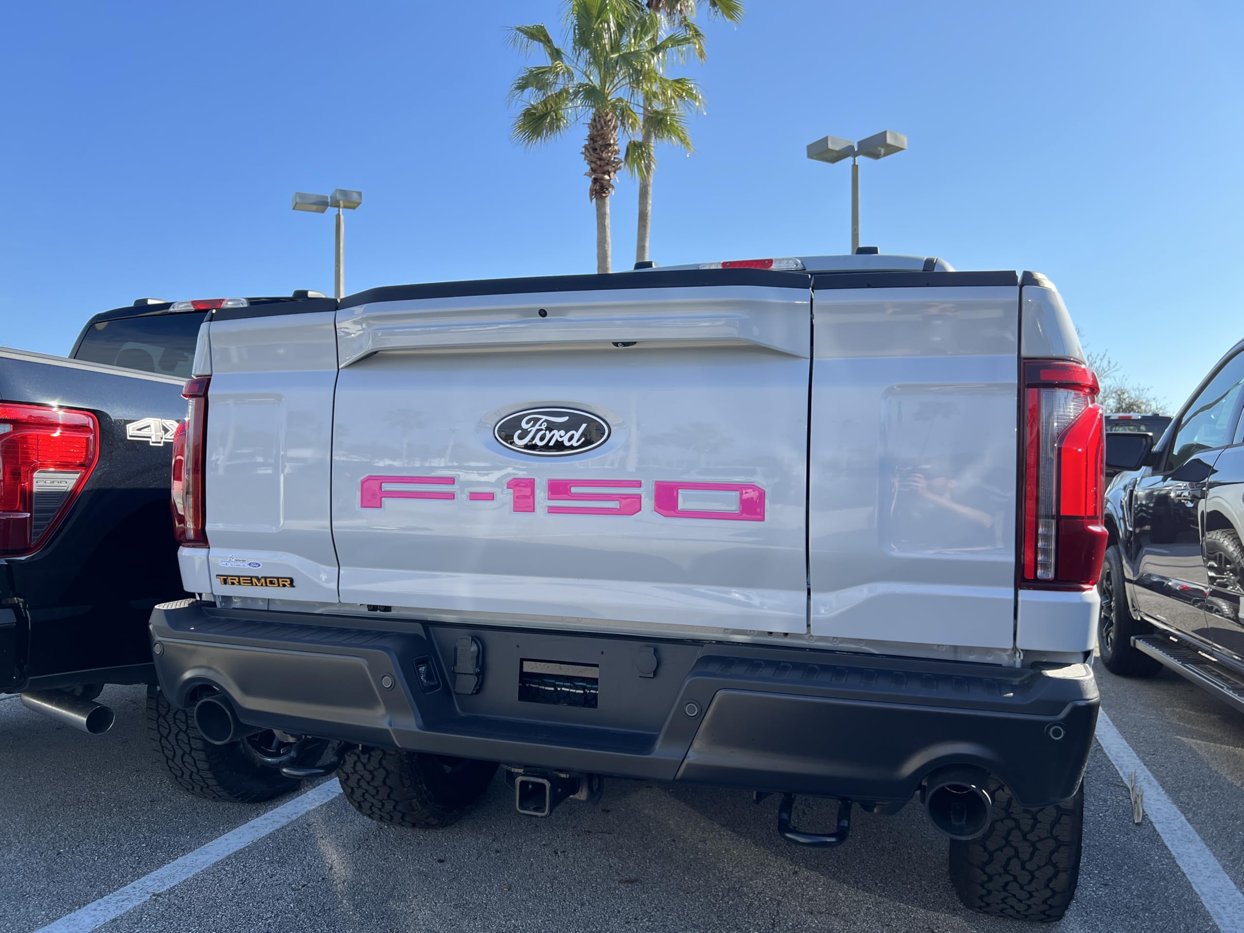 F-150 Tailgate Emblem Letter Inserts - Compatible with 2021-2026 F-150