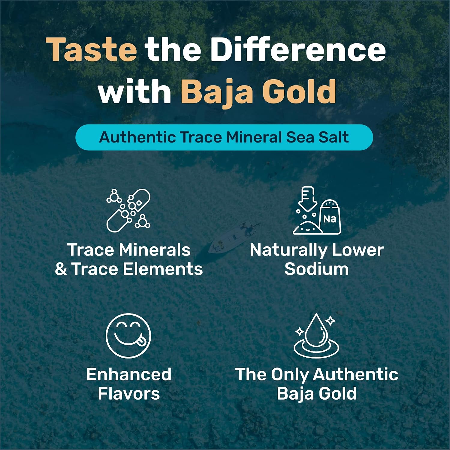 Baja Gold Mineral Sea Salt Shaker, Gary Brecka Choice, Countertop, 9 oz image 3