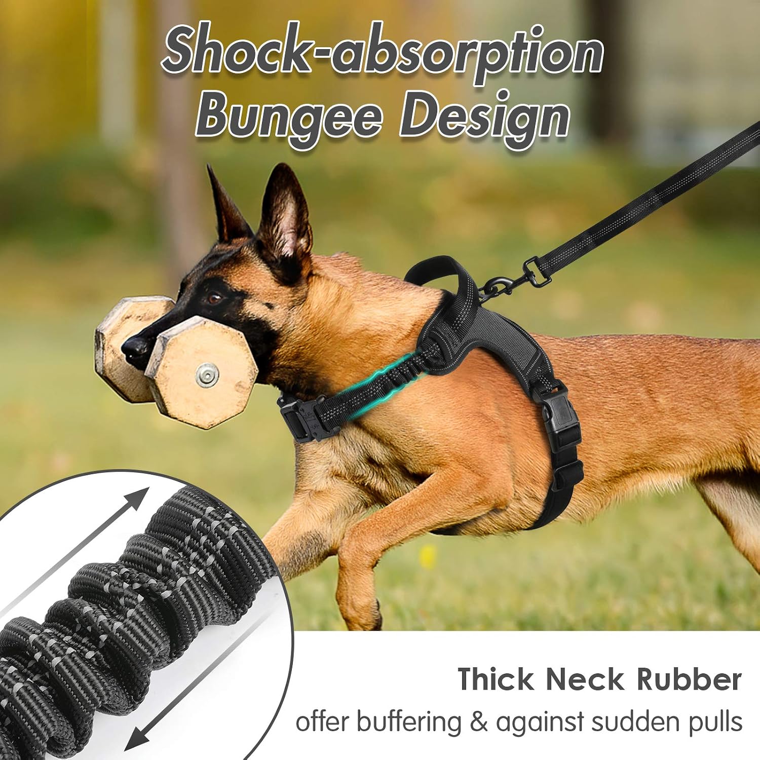 rabbitgoo Dog Harness, Adjustable Dog Walking Harness with Handle and Shock-Absorbing Bungee Straps, Reflective Dog Vest Harness No Choke, Halter Harness with Padded Strap for Large Dogs (Black,L)