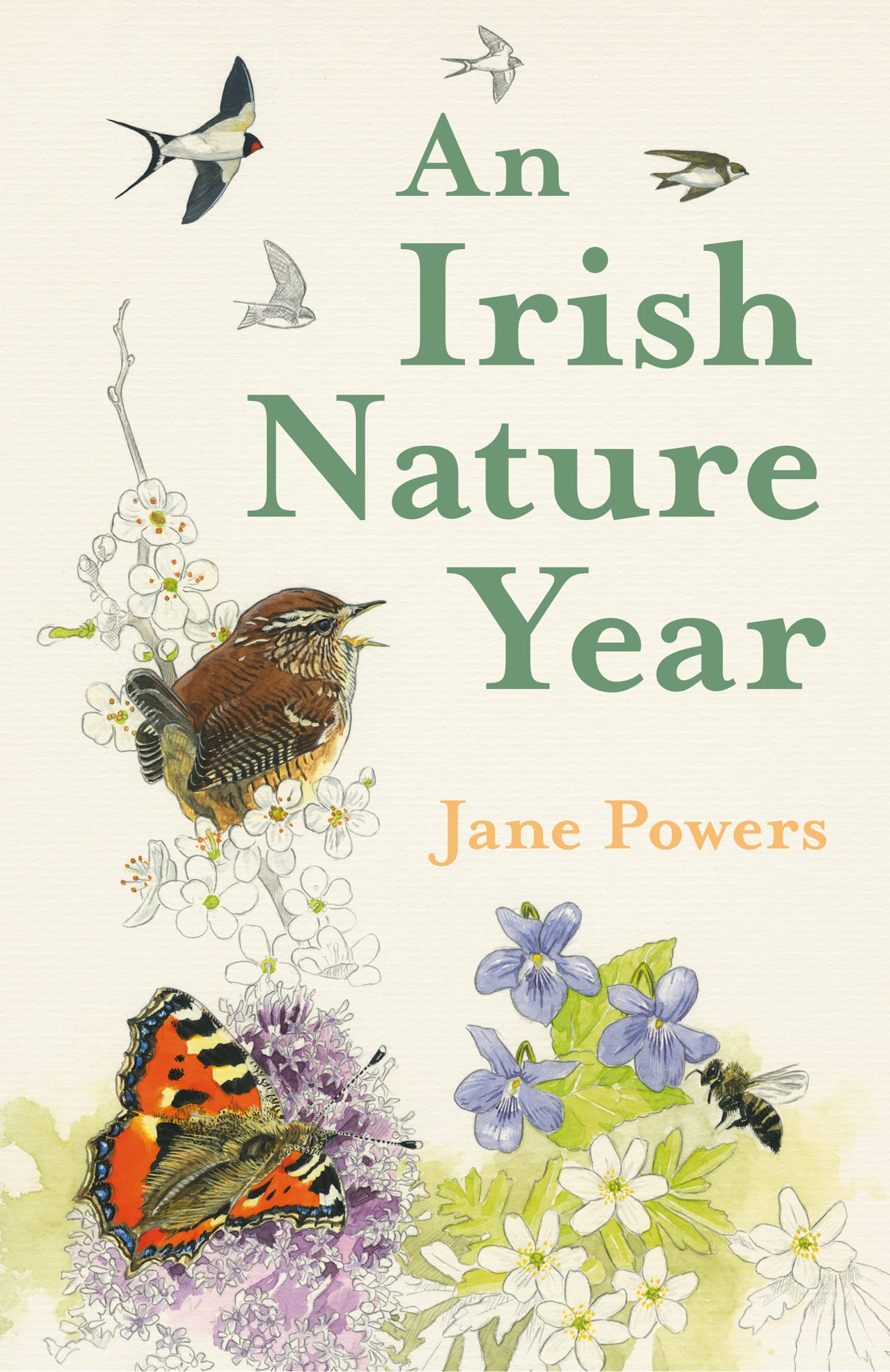 An Irish Nature Year: A Daily Illustrated Guide to the Wildlife and Plants of Ireland