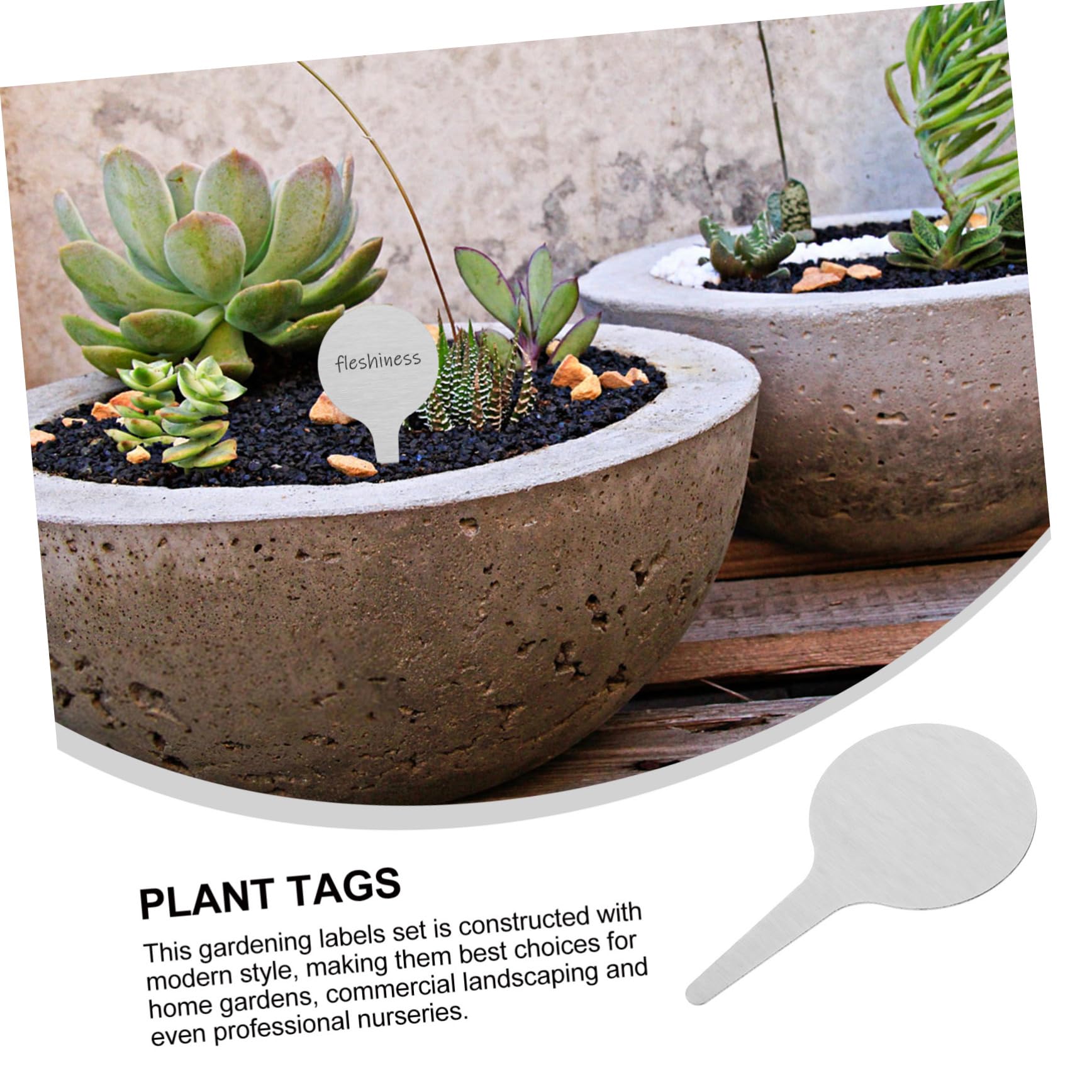 ORFOFE Lot De 3 Étiquettes Rondes En Métal Pour Plantes En Acier Inoxydable Pour Le Jardinage Les Fleurs Et Les Pépinières 50 Pièces X 3