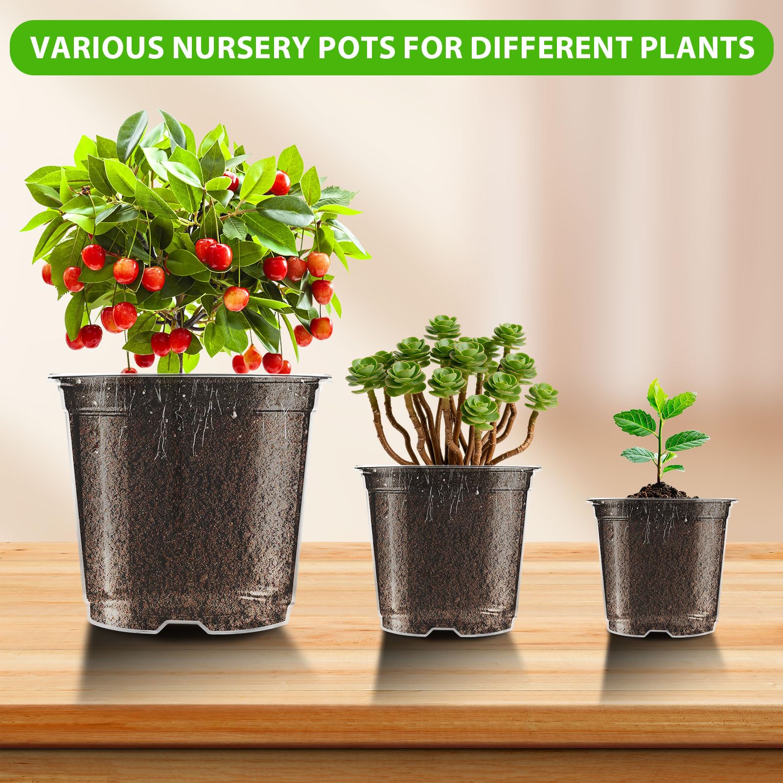 Pot de Fleurs Plastique Transparents, Pots Semis 13/15/18cm avec Trous de Drainage, pour Balcons Extérieur Bureaux Jardins (36 pièces)