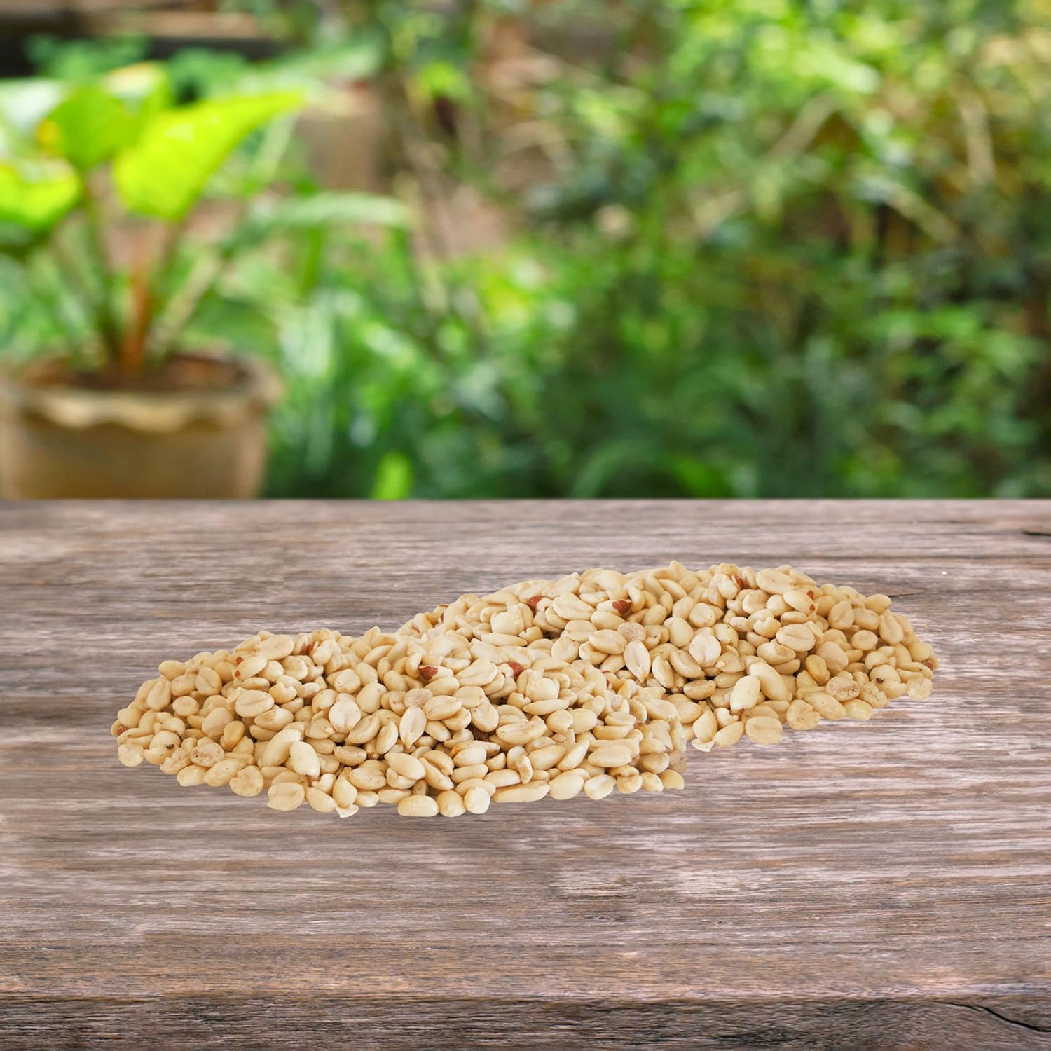 BestNest Raw Peanut Splits, 10 lbs. | Premium Unsalted Shelled Peanuts for Birds, Squirrels & Wildlife | Natural Protein-Rich Feed for Platform or Mesh Feeders | No Waste Backyard Bird Food