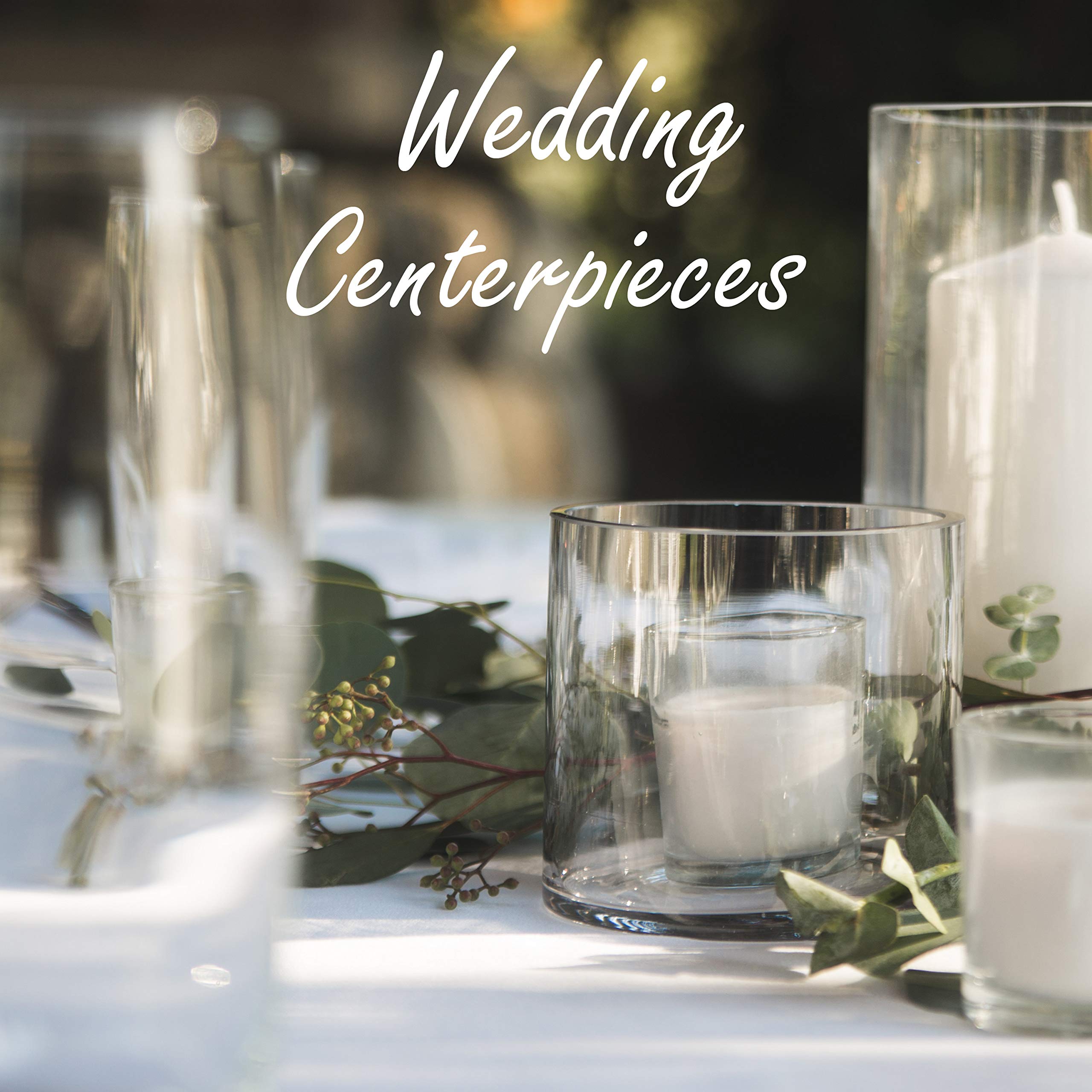 CYS EXCEL Cylinder Clear Glass Vase (H6" D6") Multiple Size Choices