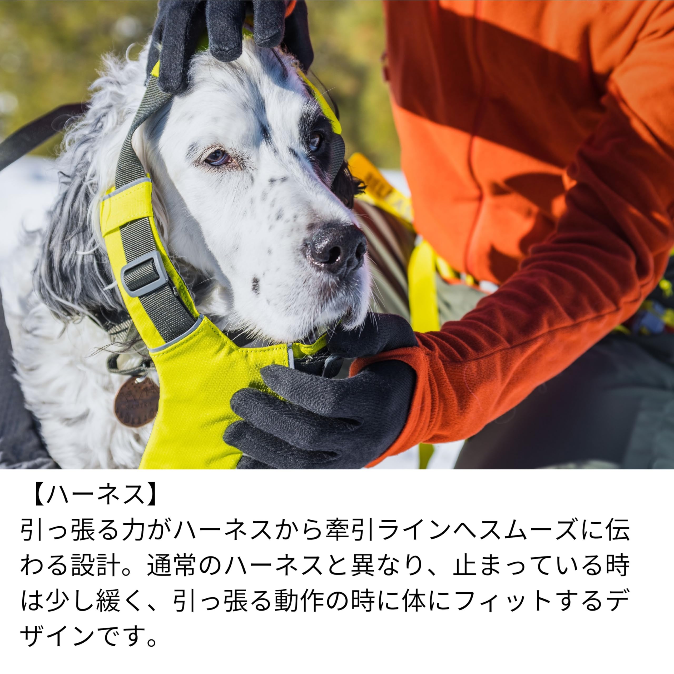 Amazon | RUFFWEAR(ラフウェア) オムニジョアドッグジョアリング