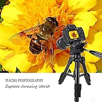 Vista 2 de Mini trípode para cámara, Zomei - Trípode de mesa de viaje con cabezal de giro de 3 vías/inclinación, placa de liberación rápida de 1/4 pulgadas