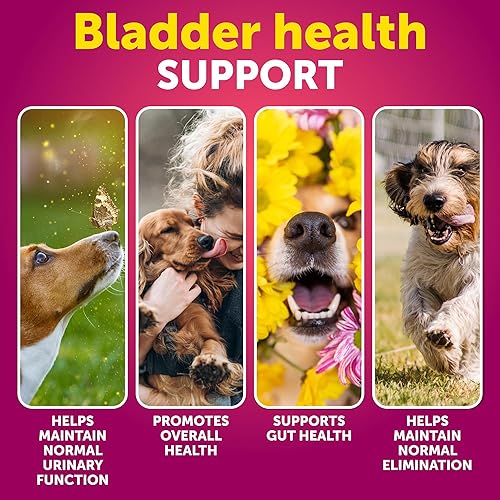 Miniatura 2 de Tratamiento de infecciones urinarias para perros  Suplemento de arándano y control de la vejiga para perros  Píldora de incontinencia para infección