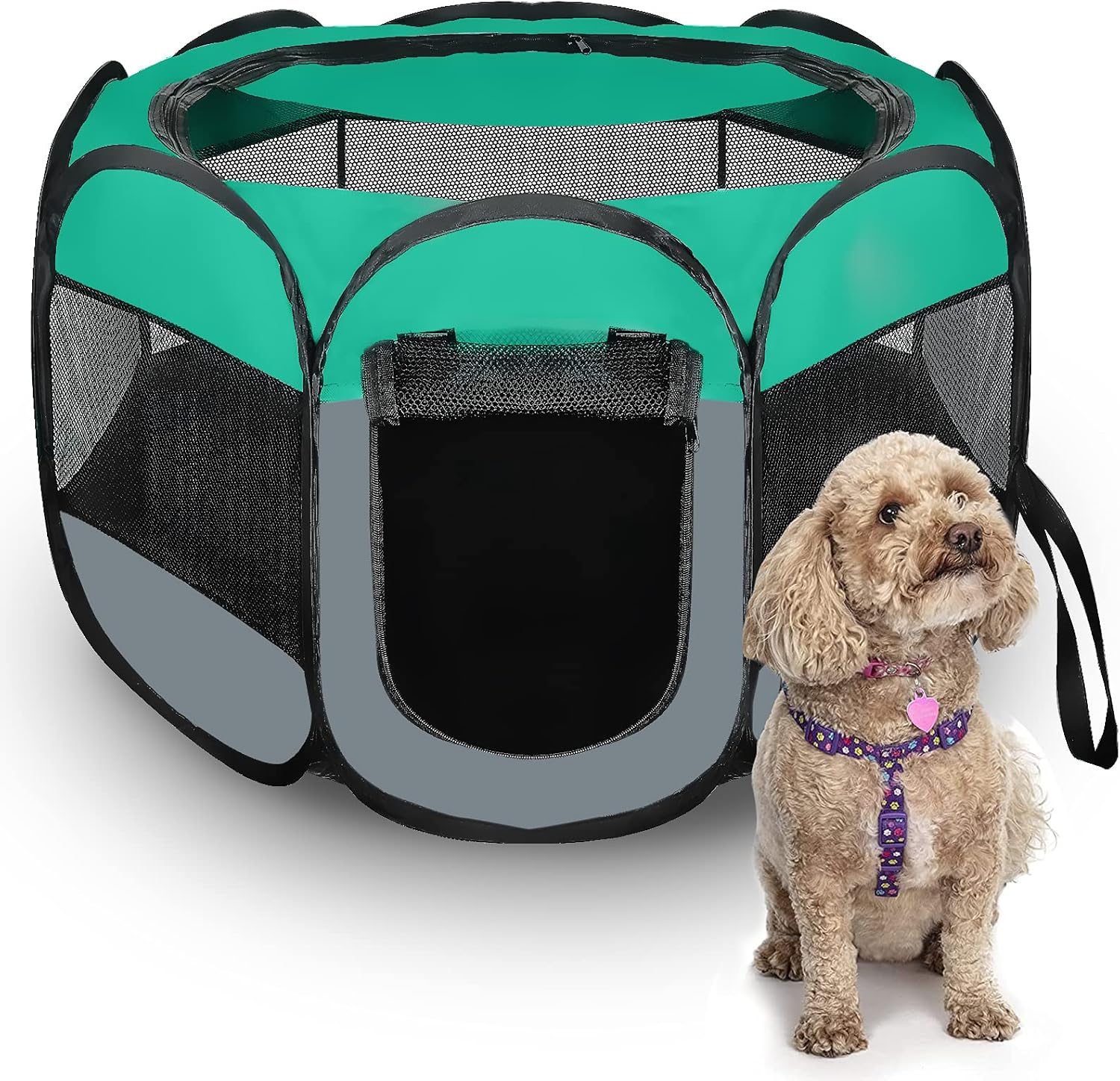 soft sided pet playpen