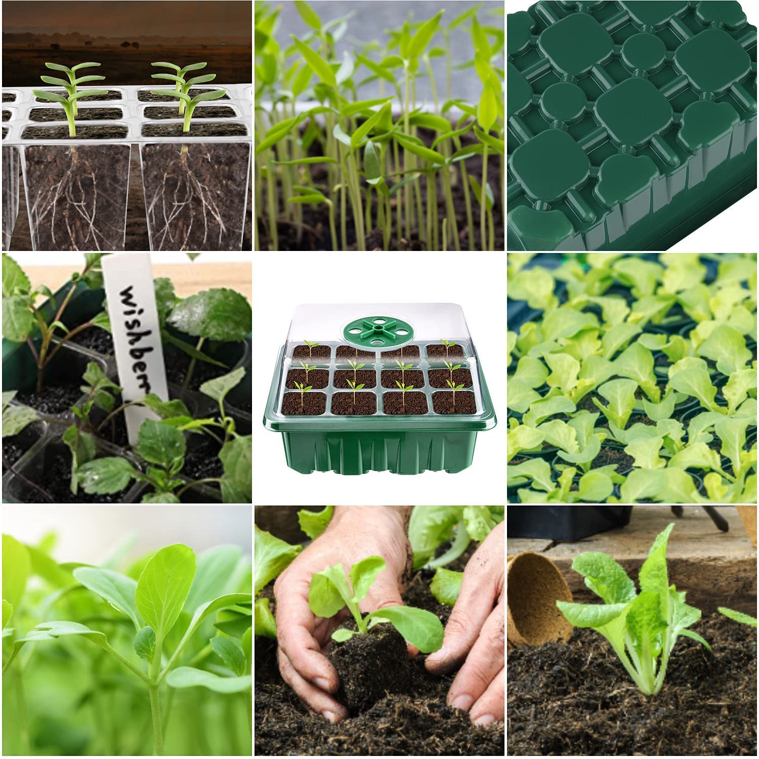 KAHEIGN 12Pcs Plateaux de Démarrage de Semences, 144 Cellules Plastique Très Résistant pour Propagation de Graines avec Dôme De Ventilation Et Socle, 20 étiquettes De Plantes, 2 Semis Outils