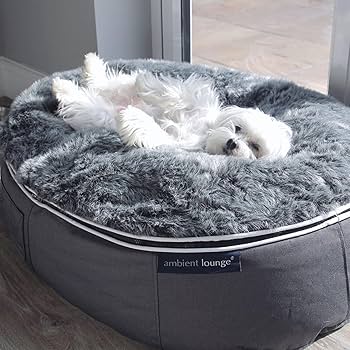 Amazon | 【アンビエントラウンジジャパン】 amazon 限定 ペット