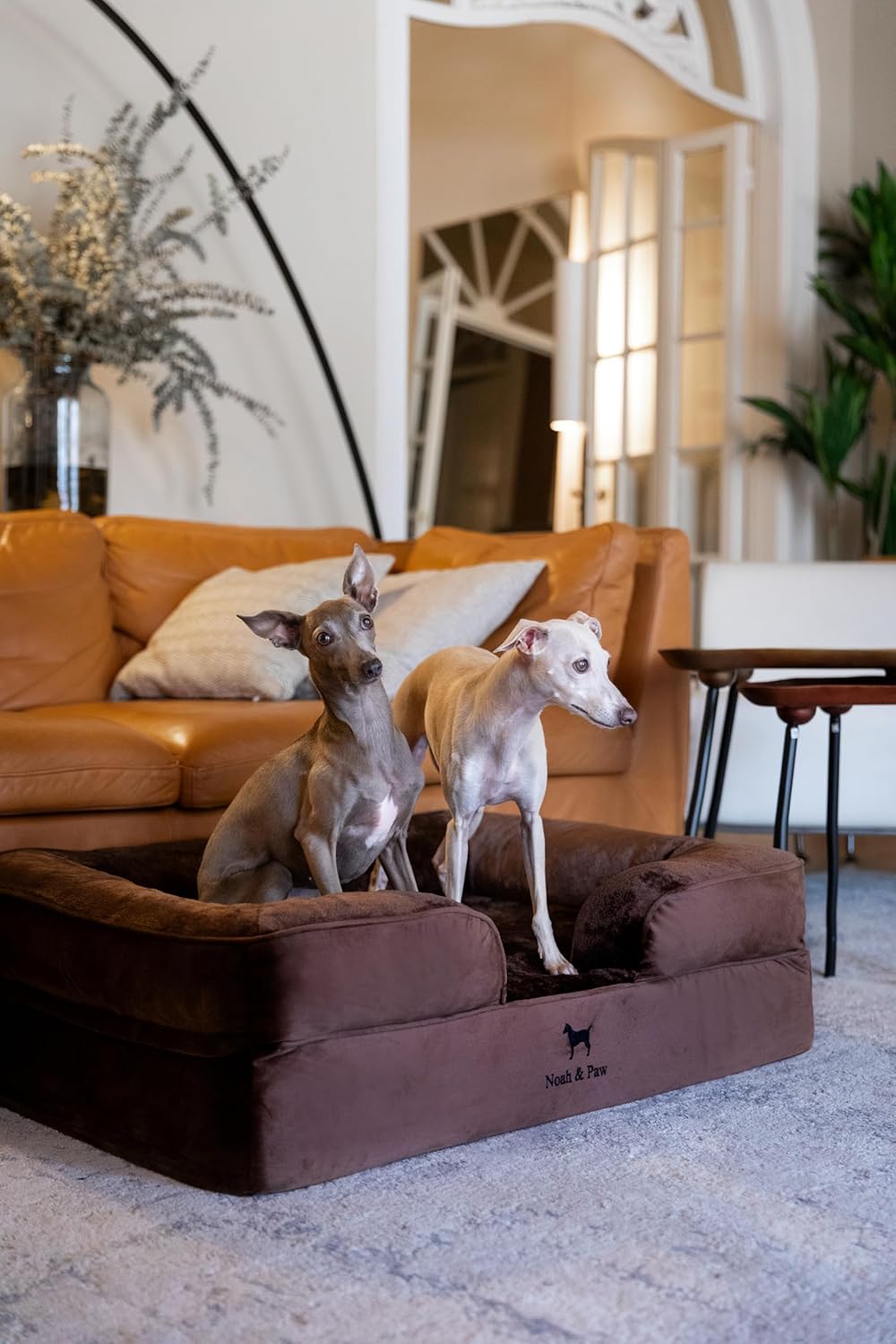 Ultimate Comfort for Your Pup: NOAH & PAW Orthopedic Dog Bed Review