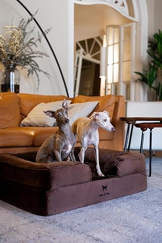 Miniatura 3 de NOAH & PAW Cama grande para perro, 35 x 25 x 11 pulgadas, camas ortopédicas para perros, espuma viscoelástica con cáscara de huevo con gel