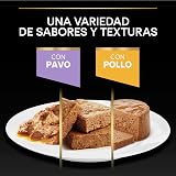 Ver la foto 7