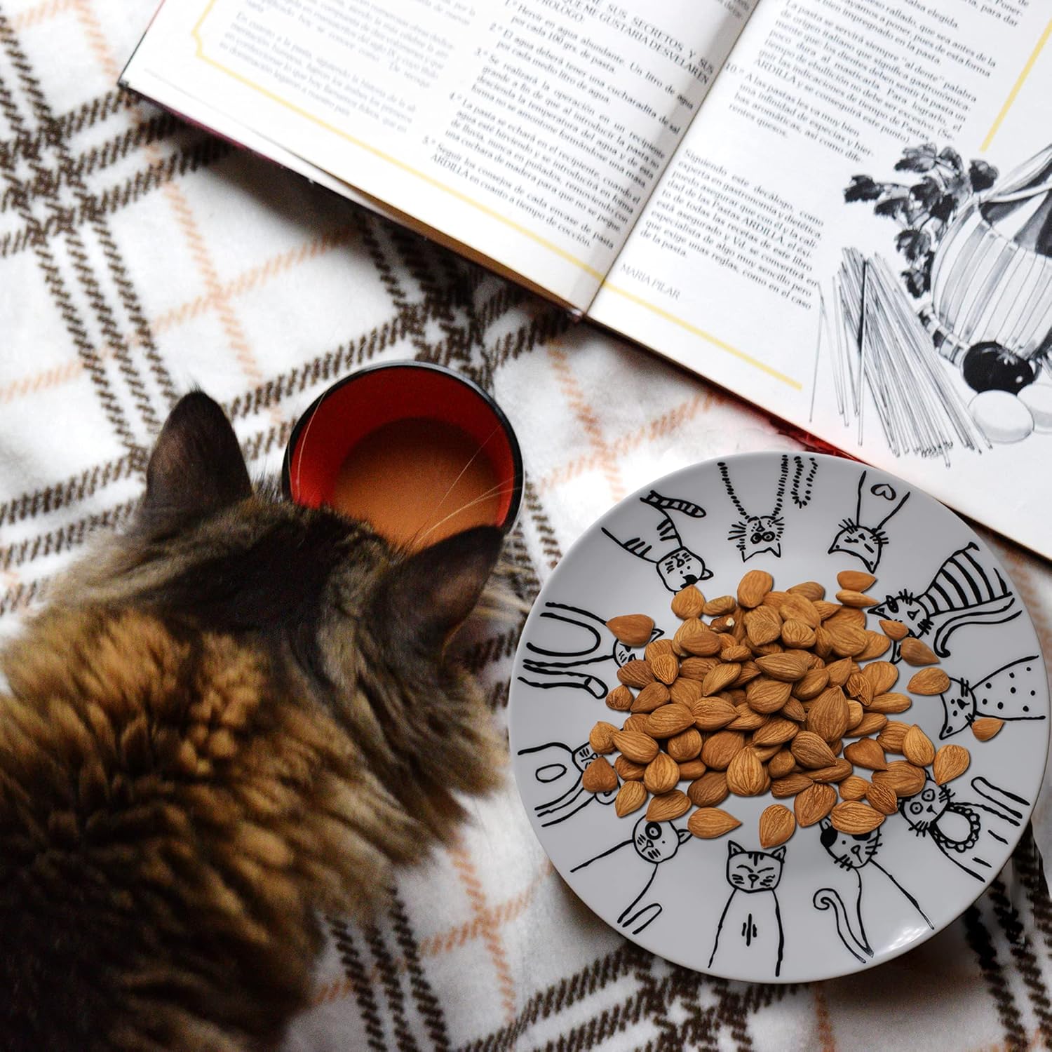 Top Rated Leadex Porcelain 8-Inch Salad Plates ,10.5-Inch Dinner Plate,18 Ounces Pasta Plates, Hand-drawn Cartoon Cat Pattern,Best Gift For Ailurophile (10.5-Inch Dinner Plate)